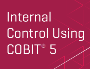 internal_control_using_cobit5